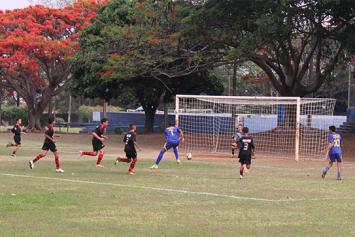aesesb-1100170.jpg aesesb-1100170.jpg